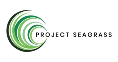 ocean career research officer  project seagrass opportunity news