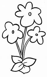 Coloring Preschool Flower Pages Template Kids Violet Blank Stems Clipart Flowers Drawings Drawing Simple Stem Color Plant Cliparts Easy Printable sketch template