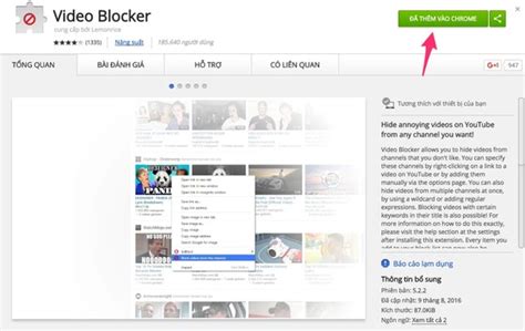 google chrome extension youtube blocker ppaceto
