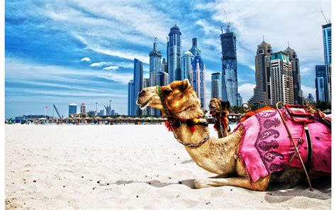 emirats arabes unis dubai centrale achat sea voyages