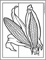 Coloring Corn Thanksgiving Pages Fall Ears Cob Print Two Fun Colorwithfuzzy Offsite Associate Commission Links Through Amazon Make Small sketch template