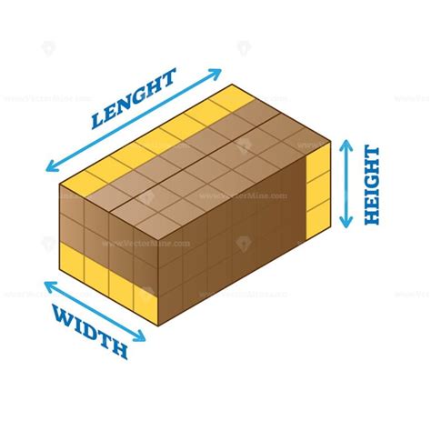 length width height measurement  scheme vector illustration vectormine