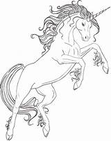 Unicorn Coloring Pages Adult Jumping Adults Horse Kids Licorne Coloriage Colorier Printable Pony Colouring Imprimer Cheval Dessin Little Colour Print sketch template