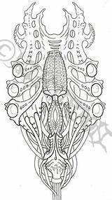 Tattoo Biomechanical Designs Skull Tattoos Biomech Body Stencils Badass Stencil Guys sketch template
