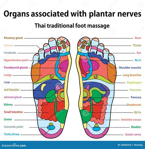 foot massage stock images image