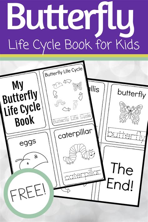 butterfly life cycle printable booklet