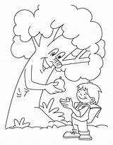 Tree Coloring Pages Generous Arbor sketch template