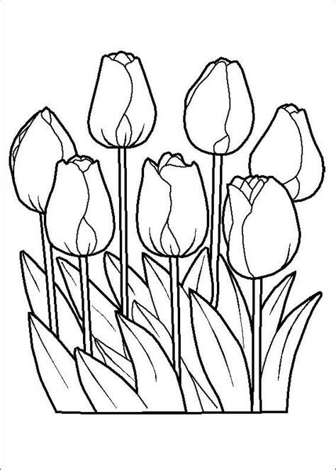 rose garden coloring page  print  color