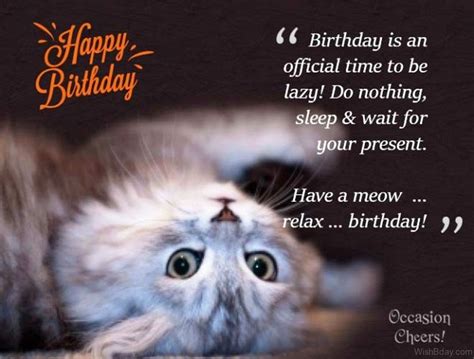 86 Cat Birthday Wishes