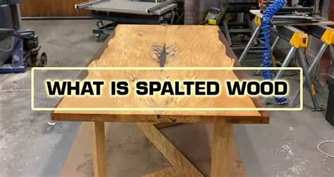 spalted wood