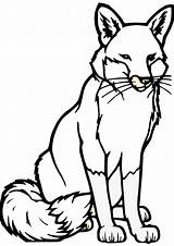 Fox Coloring Pages Drawing Print Printing Handout Below Please Click sketch template