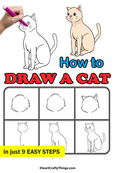 cat drawing   draw  cat step  step