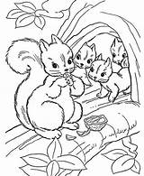 Coloring Nuts Squirrel Printable Pages Getcolorings Eating Nut Children sketch template