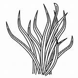 Plant Drawing Plants Coloring Getdrawings sketch template