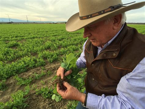 central valley drought fears ease  farmers contend