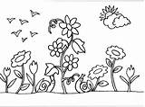 Colorear Rosas Jardins Caracois Atividades Fraldas Risco Jardinzinho Secreto Manancialzinho sketch template
