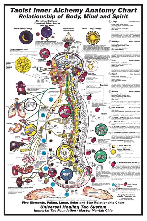 universal healing tao body mind spirit chart  poster dl p