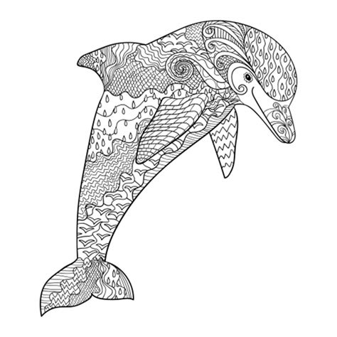 adult coloring pages dolphin  dolphin coloring pages summer