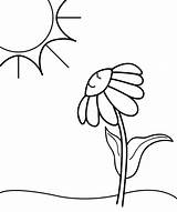 Girassol Sunset Sunlight Tudodesenhos Cliparting Clipartsign sketch template