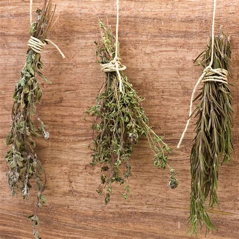 dry herbs taste  home