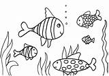 Coloring Fish Printable Activity Imagixs Via sketch template