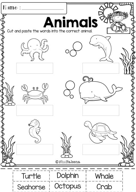 kindergarten morning work includes  worksheet pages