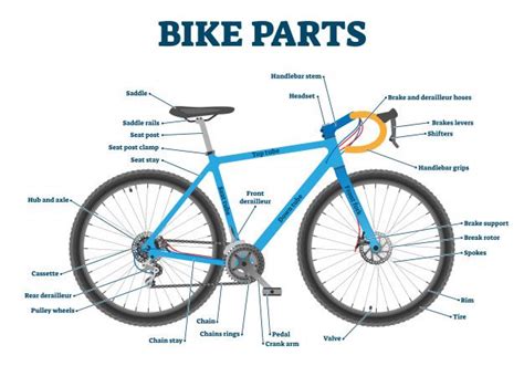 bike parts labeled illustration diagram bike parts bike professional bike