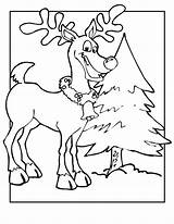 Renifer Reindeer Kolorowanki Renne Everfreecoloring Wydrukowania Rudolph sketch template