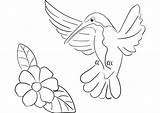 Beija Hummingbird Colorir Kolibri Imprimir Fofo Ausmalbilder Hummingbirds Ausmalbild Supercoloring Adorável Scribblefun Colorironline sketch template