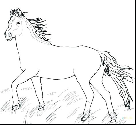 coloring pages   horse head  getdrawings