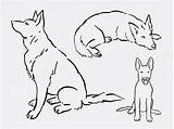 Herder Duitse Pastore Tedesco Hund Schäferhund Tatoeageonwerpen Craftwhack Tekenen Deutscher Sitting Colourbox Shepherds Pet sketch template