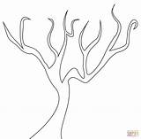 Tree Coloring Dead Bare Template Silhouette Trees Pages 1400 44kb sketch template