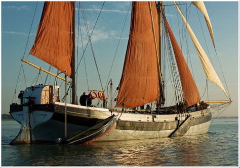 left  thames sailing barges racing   medway river  june