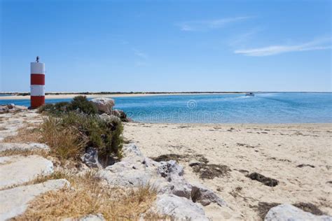 portugal fuseta foto de stock imagem de relaxar dunas