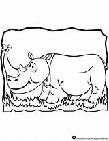 Animal Coloring Rhino Jr sketch template
