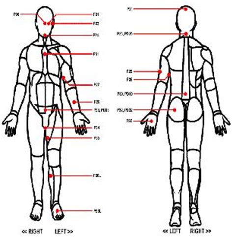 human body outline printable clipart