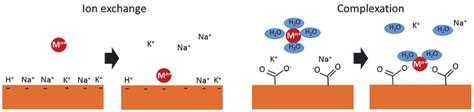 illustration   ion exchange left  chemical complexation