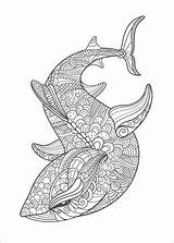 Coloring Pages Adult Sea Animals Creatures Color Shark Mandala Colouring Whales Sheets Blank Animal Choose Board Coloriage sketch template