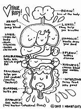 Coloring Anatomy Pages Kidney Human Kids Color Colouring Body Printable Drawing Sheet Simple Worksheets Organs Guts Parts Heart Template Iheartguts sketch template