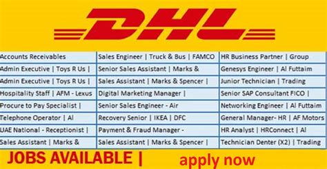 latest jobs opportunities  dhl  apply