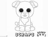 Boo Coloring Dog Pages Printable Cutest Worlds Beanie Template sketch template