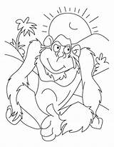Gorilla Gorille Animaux Coloriage Coloriages sketch template