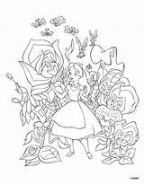 Alice Coloring Delle Meraviglie Paese Nel Disney Gif Color Da sketch template