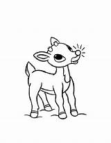Rudolph Everfreecoloring Nosed Freely sketch template