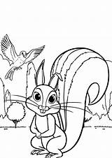Sofias Squirrel sketch template
