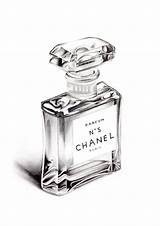Perfume Chanel Drawings Bottle Drawing 3d Sketch Realistic Pencil Et Parfum Perfum N5 Bottles Parfüm Ziyaret Colour Template Shading sketch template