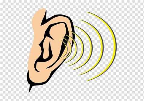 cartoon ear clipart   cliparts  images  clipground