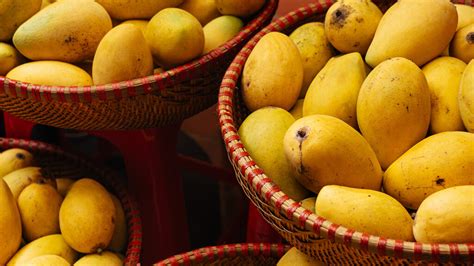 mangoes benefits nutrition  recipes