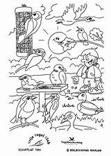 Parco Parc Vogels Uccelli Oiseaux Kleurplaten Pajaros sketch template