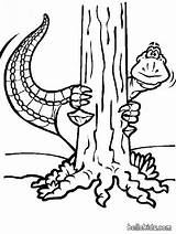 Hiding Coloring Designlooter Dinosaur Behind Tree sketch template